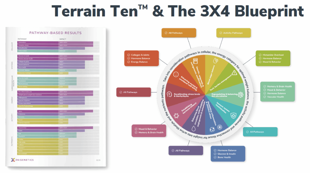 Terrain Ten The 3X4 Blueprint Tool